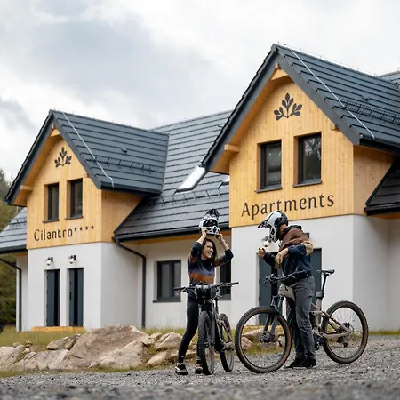 Cilantro * 스클라르스카포렘바