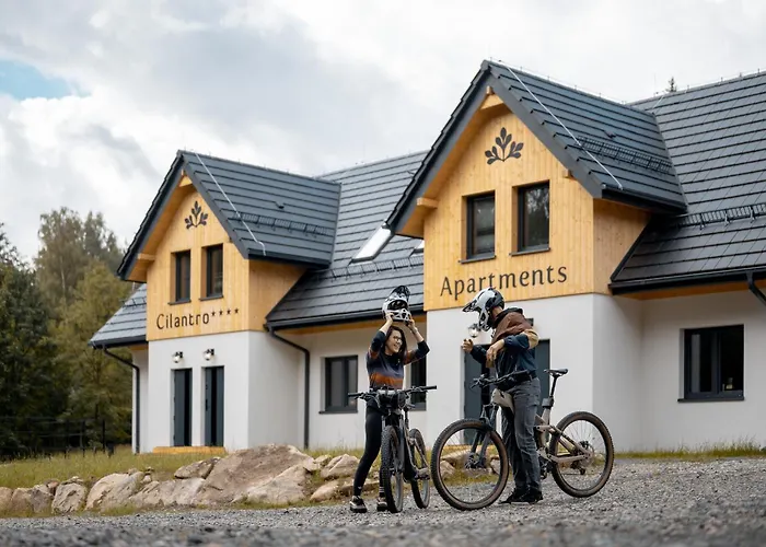 Cilantro * Шклярська Поремба